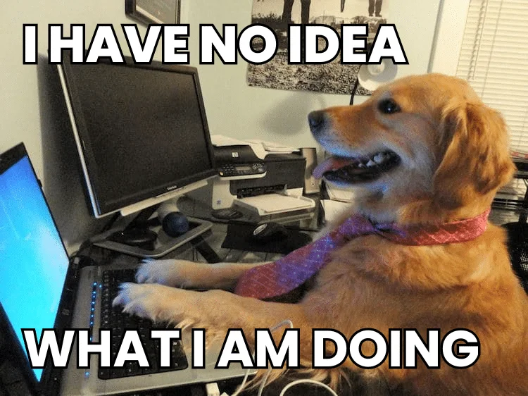 Dog coding at a computer.